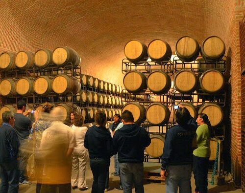 cava freixenet querétaro experiencia bajo tierra