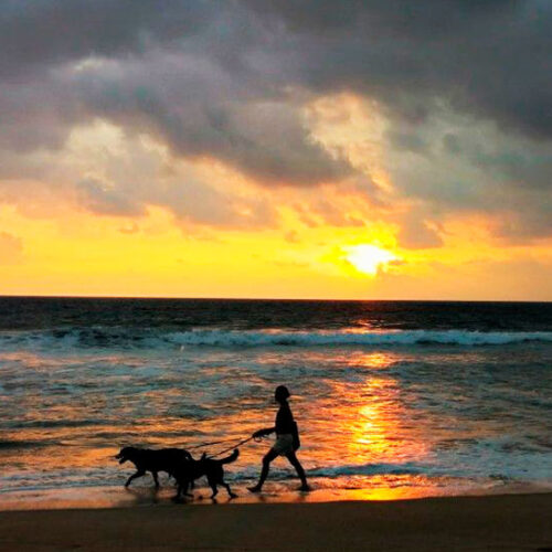 playa zicatela oaxaca