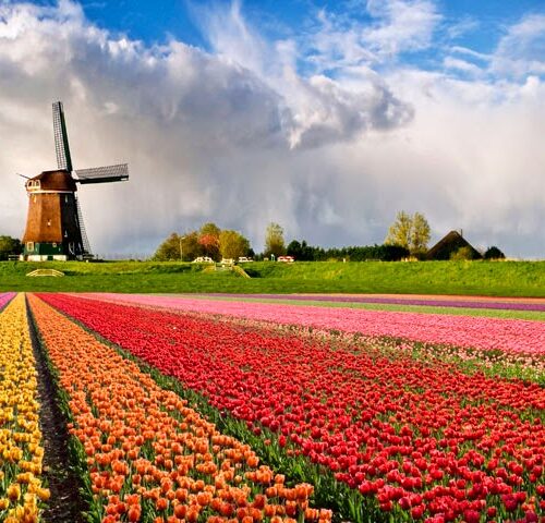 que hacer donde ir holanda paises bajos