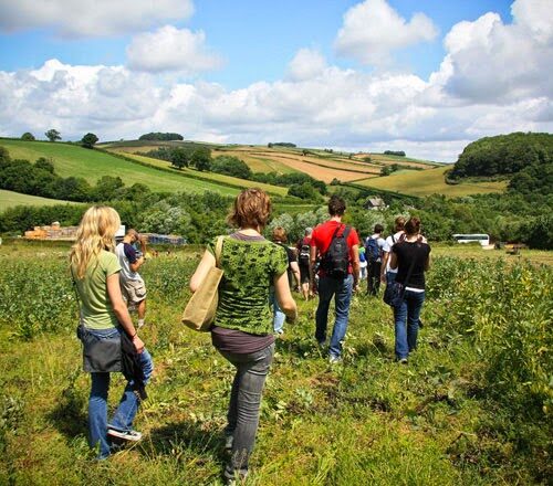 ¿Han practicado el WWOOFing? Recorre el mundo cuidando la tierra