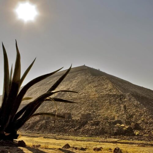 Teotihuacán: historia, cómo llegar, pirámides, costo, horario y más