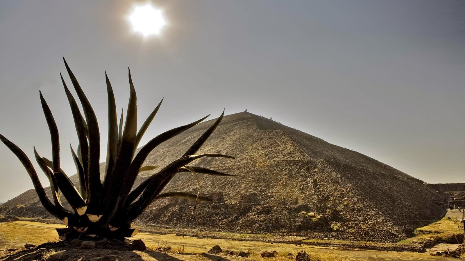 Teotihuacán: historia, cómo llegar, pirámides, costo, horario y más