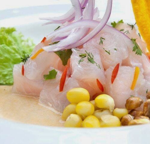 5 grandes consejos para hacer buceo turístico por primera vez