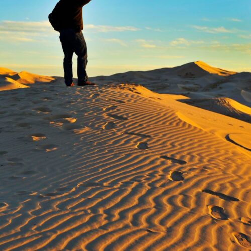 Paisaje lunar en las Dunas de Samalayuca, Chihuahua