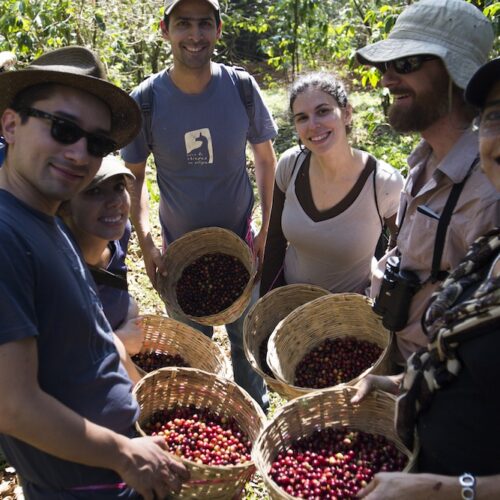 ruta haciendas cafe soconusco chiapas