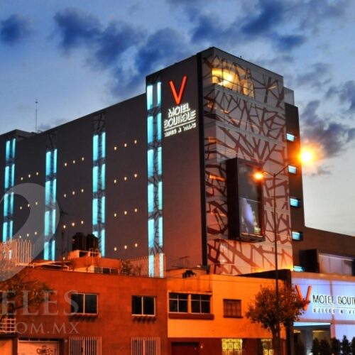 hoteles kinky encontraras cdmx