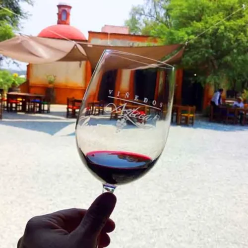 ruta del vino queretaro