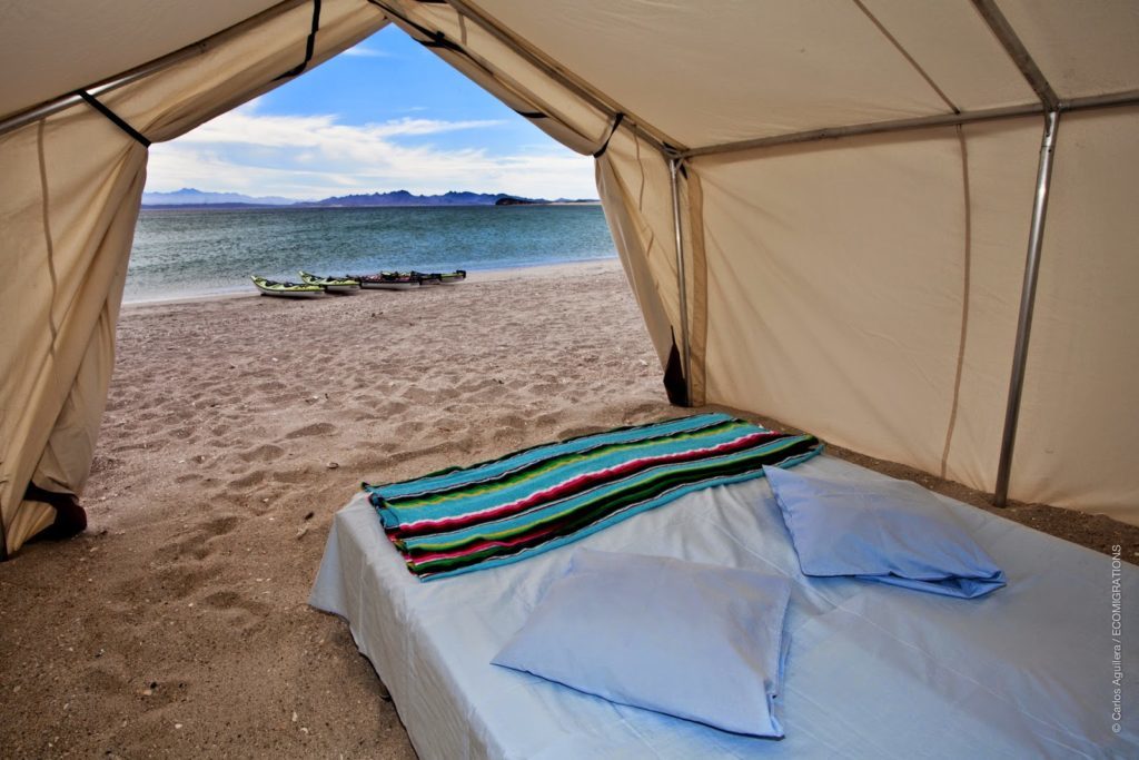 experiencia glamping isla espiritu santo baja california sur