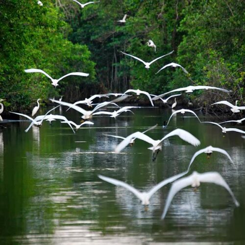 ciudades calientes calidas verano visitar mexico