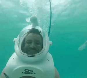 xelha actividades cosas que hacer