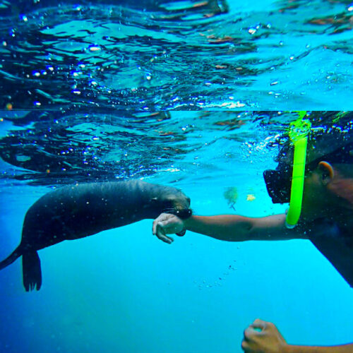 paraisos submarinos mexico