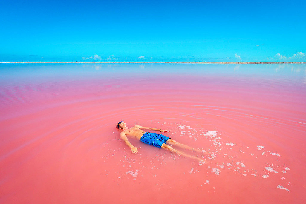 las coloradas yucatan rosa lago mar