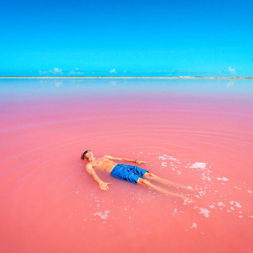 las coloradas yucatan rosa lago mar