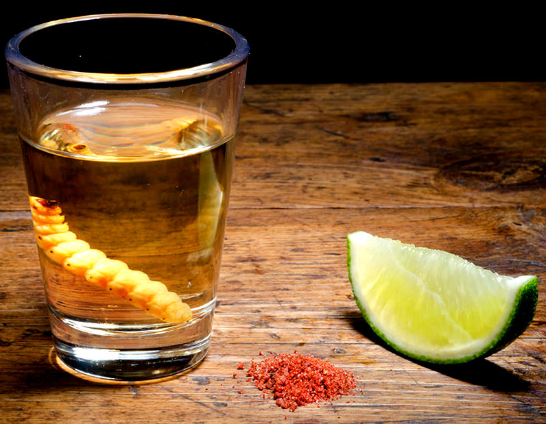 por que mezcal sabe mejor cuando combina sal gusano