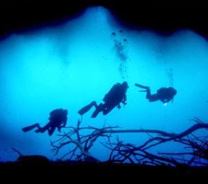 cenotes espectaculares mexico donde estan