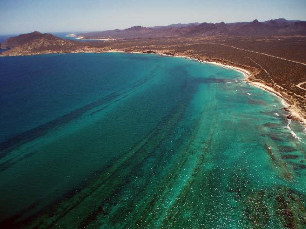 Cabo Pulmo, de las playas vírgenes más protegidas del país