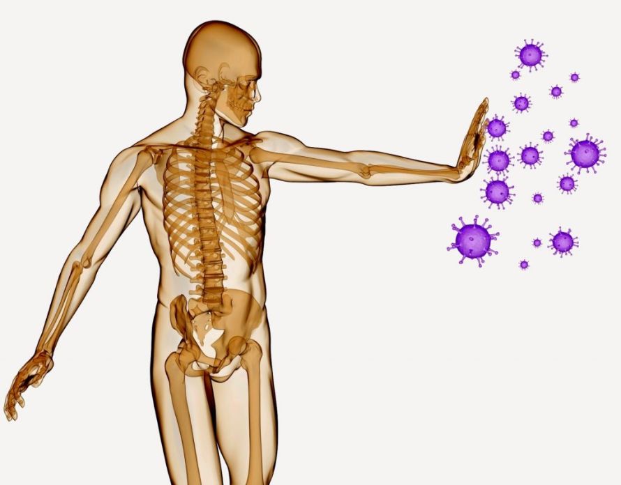 cómo fortalecer el sistema inmunológico