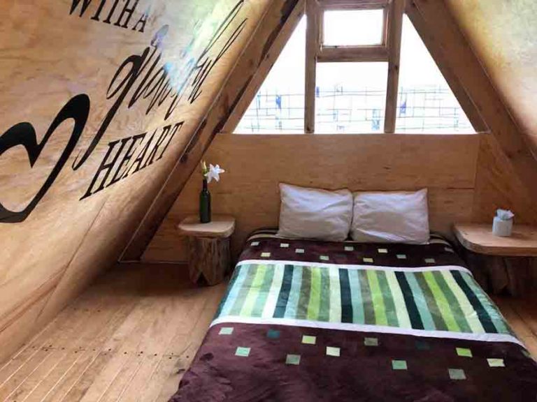 Avistamiento de Luciérnagas: 16 lugares en México (2020)