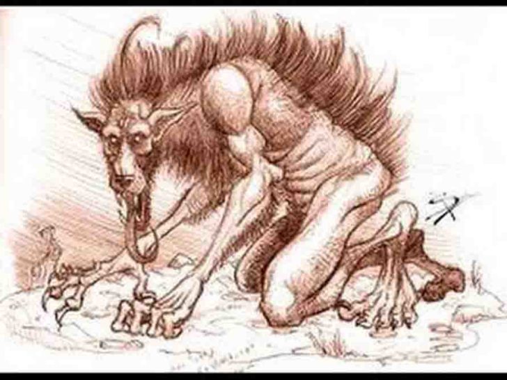 Leyenda del Nahual ¿Mitad animal, mitad