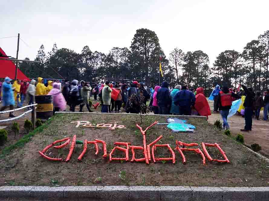 El madroño 16 lugares en México para avistamiento de luciernagas 