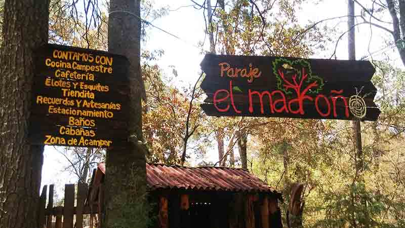 El madroño 16 lugares en México para avistamiento de luciernagas 