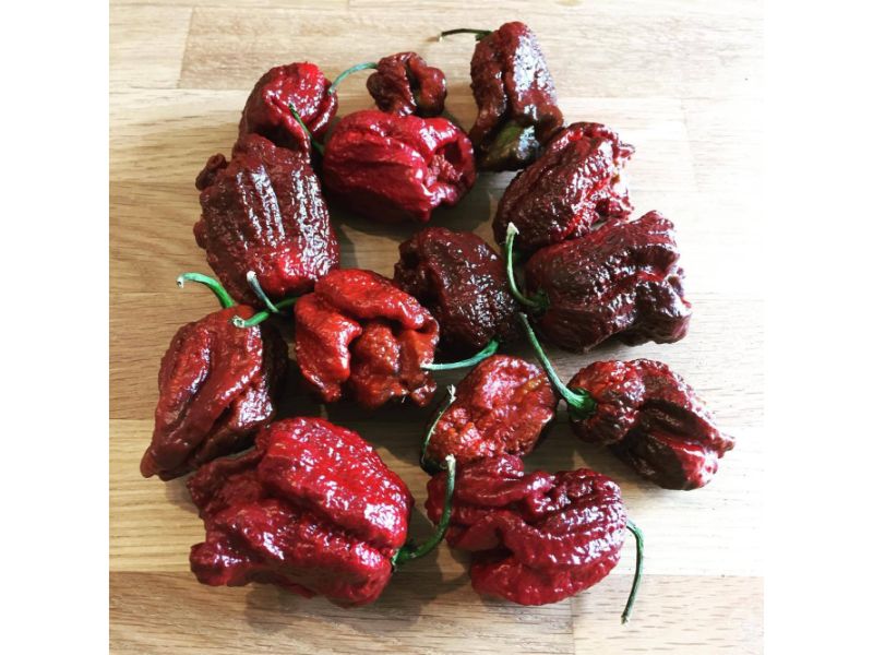 Chiles más picosos del mundo: 7 Pot Douglah 