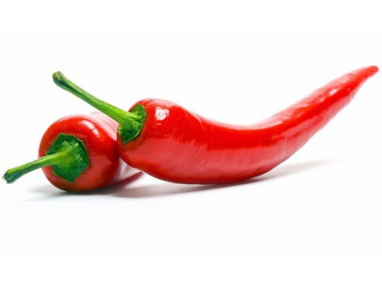 Chiles más picosos del mundo LOS 12 que echan fuego!