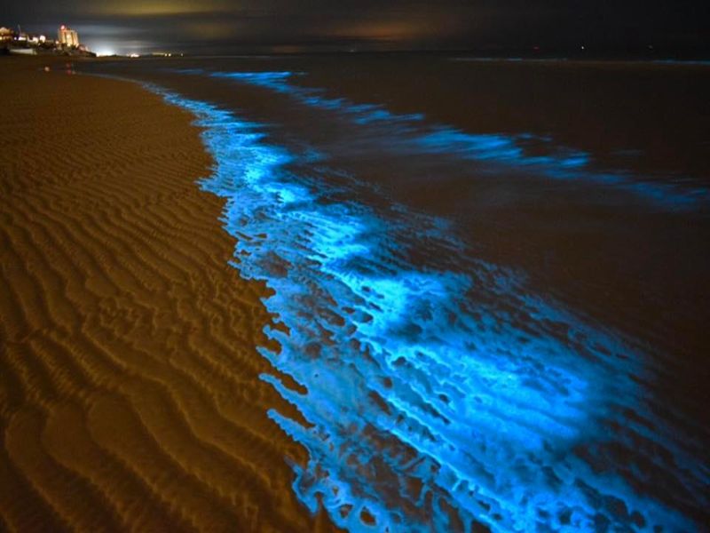 A continuación, te compartiré 5 playas bioluminiscentes en México 