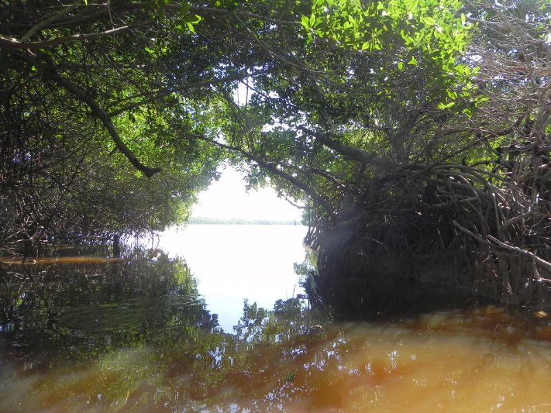 Qué hacer en Yucatán 
