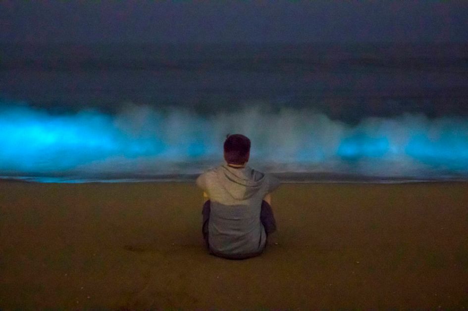 Playas bioluminiscentes en México