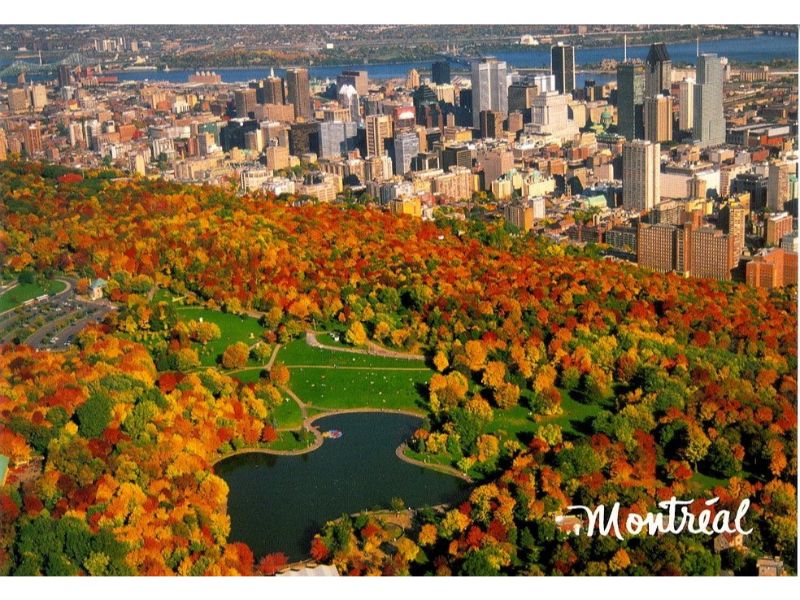 ¿Que hacer en Montreal? Visitar el Mont Royal