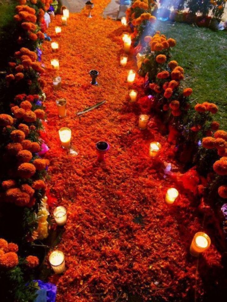 Significado de la Flor de Cempasúchil, la flor de las ofrendas
