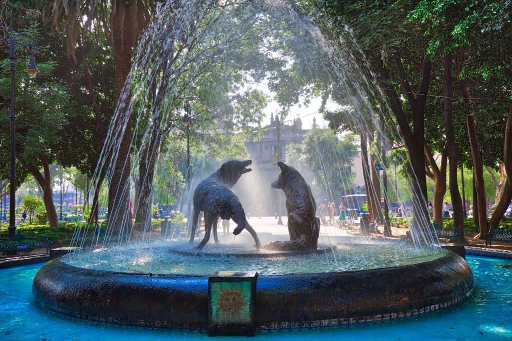 que hacer en coyoacán