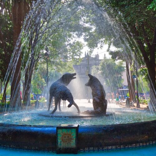 que hacer en coyoacán