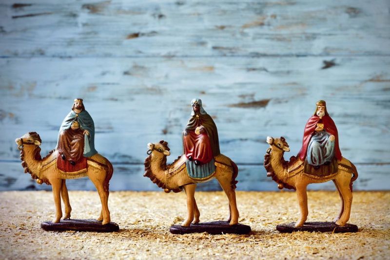 Camellos de los Reyes Magos