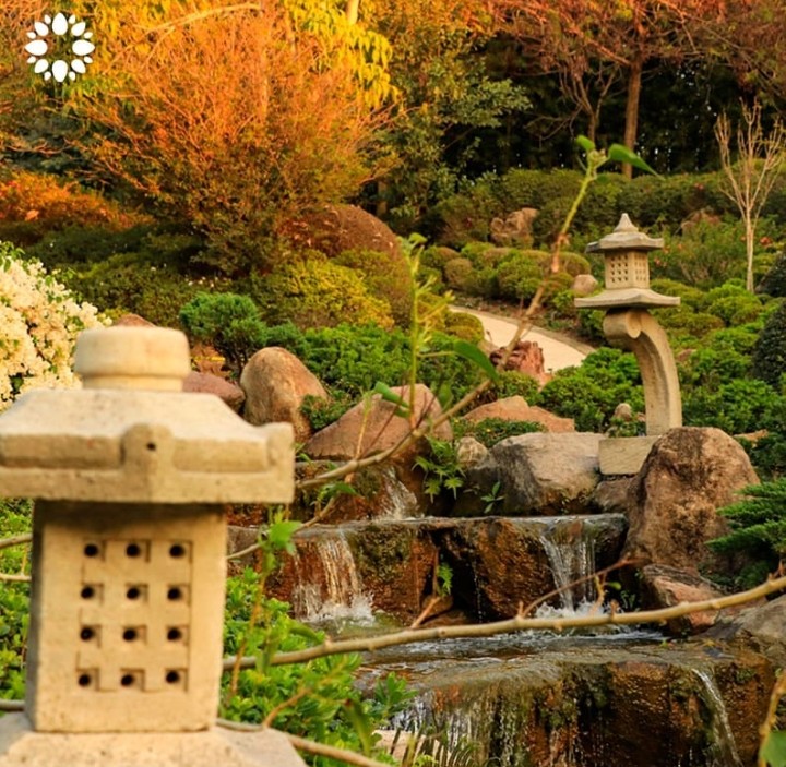 Jardín estilo japones.