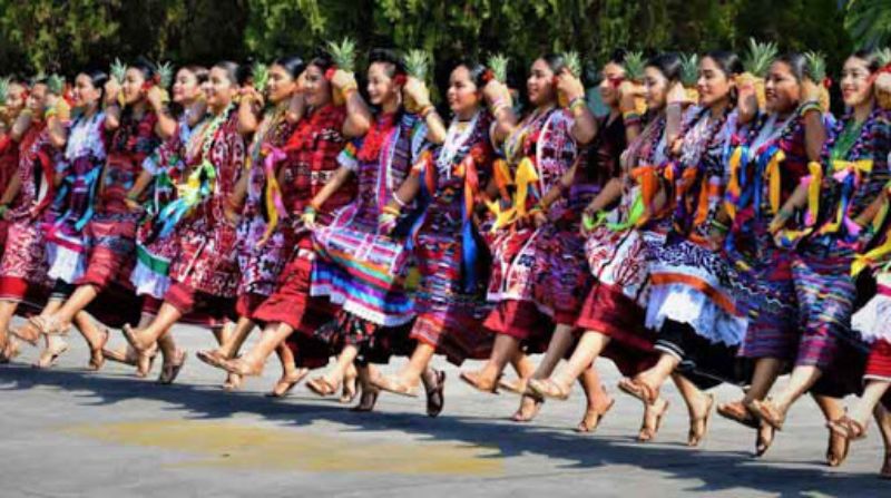 Danza flor de piña  bailes folklóricos de México