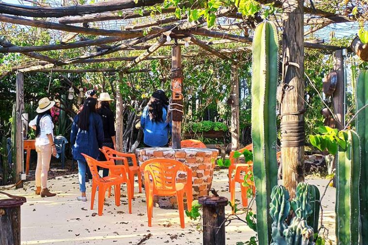 Rancho La Cumbre Irapuato Escapadita rural inolvidable.