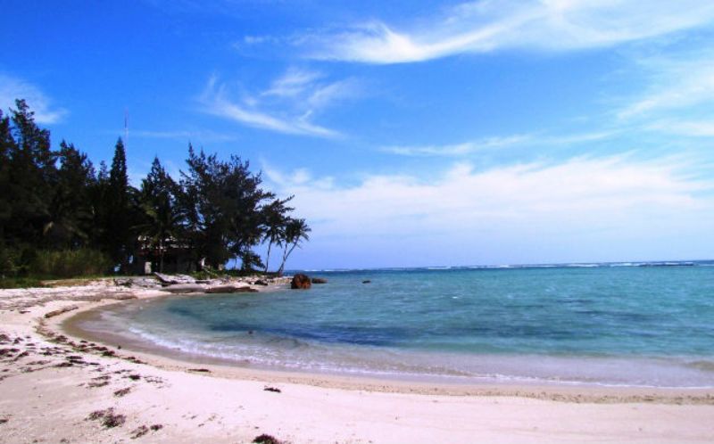 Playas de Veracruz 