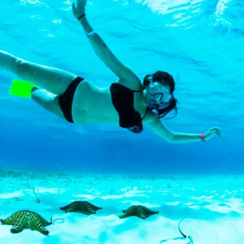 que hacer en cozumel