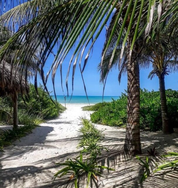 El Cuyo Yucatán Que hacer en este irresistible paraíso escondido! El Cuyo Yucatán Que hacer en este irresistible paraíso escondido!