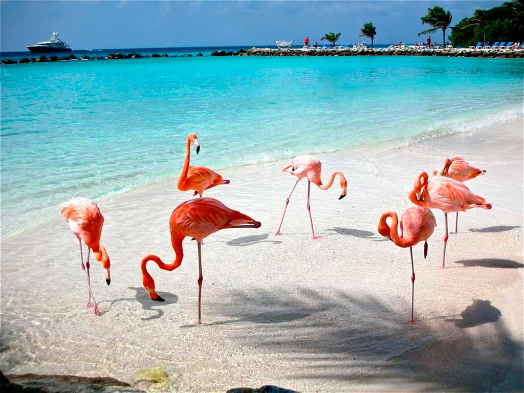 playas de yucatan