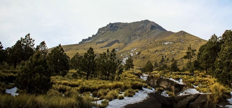 Parque  Nacional la Malinche.