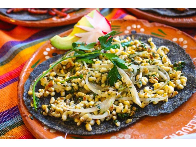 escamoles, recetas de cocina prehispanica