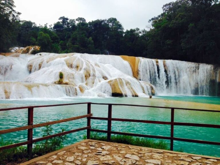 Cascadas de Agua Azul Chiapas GUÍA TOTAL para visitarlas