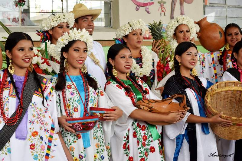  Pueblos Indígenas de México  Los   más importantes del país