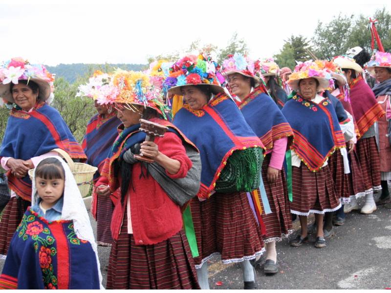 Pueblos  indígenas de México