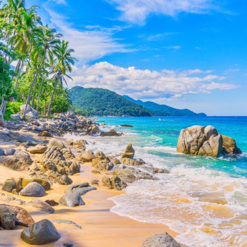 Que hacer en Puerto Vallarta