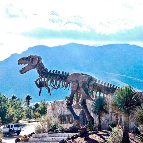 que hacer en saltillo