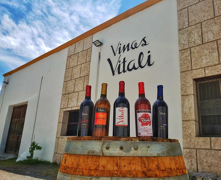 Vinos Vitali, lugares turísticos de Coahuila